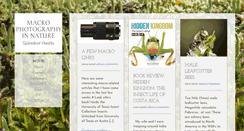 Desktop Screenshot of bugs.adrianthysse.com